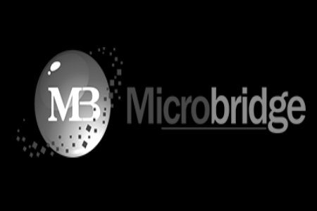 microbridgesoftware.com