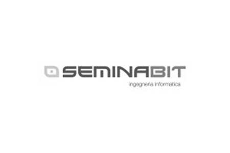 seminabit.com